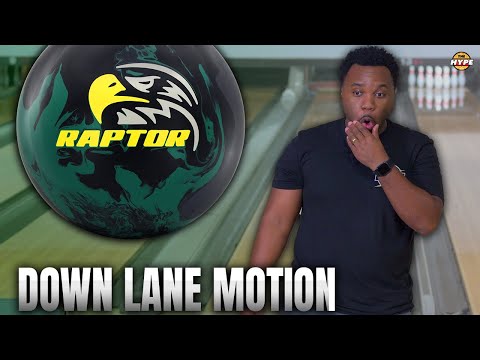 Видео: Новая большая собака для Motiv | Motiv Raptor Reign