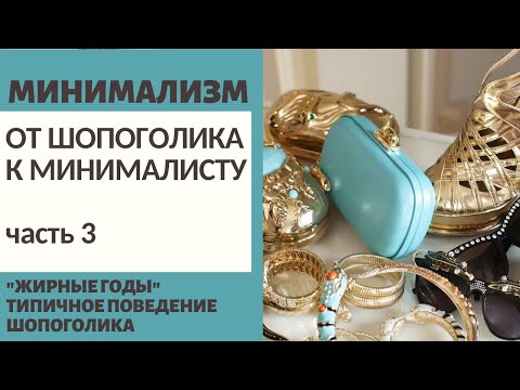 Видео: МИНИМАЛИЗМ: МОЙ ПУТЬ ОТ ШОПОГОЛИКА К МИНИМАЛИСТУ ч.3