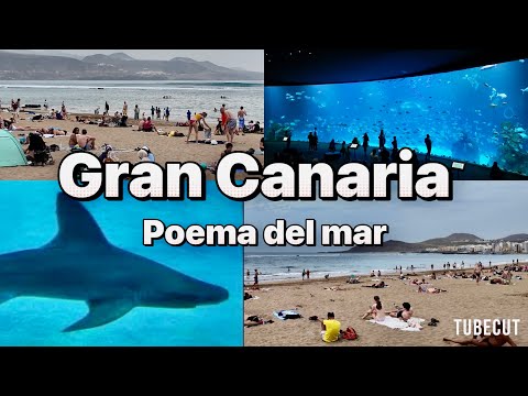 Видео: Гран Канария  незабываемый день в аквариуме  Poema del Мar  Las Palmas