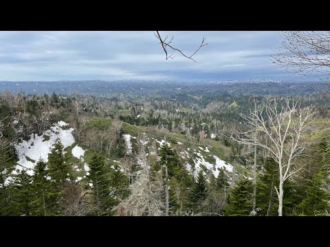 Видео: Трёхдневный поход по Сахалинской тайге. Японские артефакты времён Карафуто.