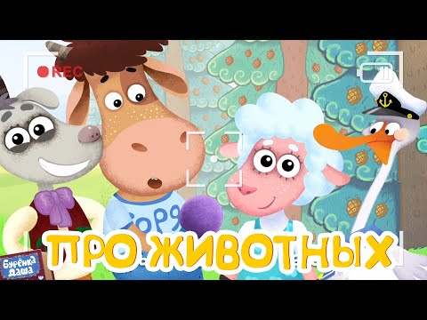 Видео: Бурёнка Даша🐮Где живут звери? | Развивающие песни для детей