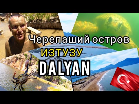 Видео: Турция ! ЧЕРЕПАШИЙ ОСТРОВ! Изтузу. По реке Дальян.