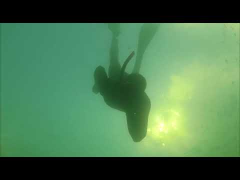 Видео: Подводная охота на карьере  Страх глубины