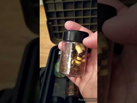 Видео: Часть #1 Организация моих ящиков Meiho!  Подбор ящика для сына, отличный вариант от Rolans!