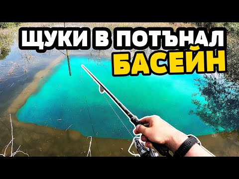 Видео: СКРИТ БАСЕЙН В ГЬОЛА!!! Риболов на щука / ЗМИЯ ИЗЯДЕ КАРАКУДА pike fishing