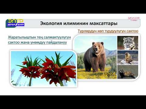 Видео: 11-класс |  Биология  | Экология.  Экологиянын негизги максаттары жана милдеттери