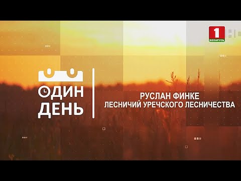 Видео: Один день из жизни лесничего