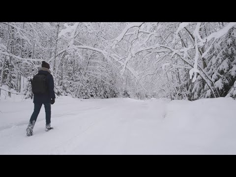 Видео: Среди заснеженных деревьев / Экотропа Гряда Вярямянселькя