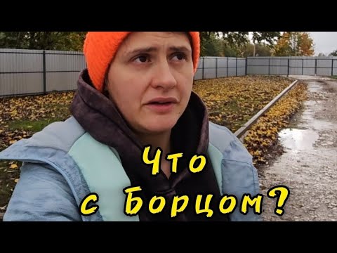 Видео: "Что с Борцом?" до сих пор спрашивают подписчики. Рассказываем всё в этом видео.