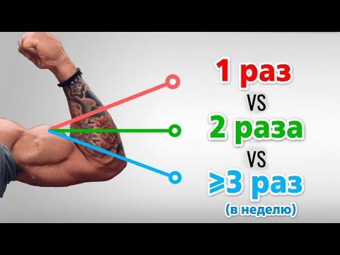 Видео: КАК ЧАСТО ТРЕНИРОВАТЬ мышцы. ОПТИМАЛЬНАЯ ЧАСТОТА ТРЕНИРОВКИ мышц для НАБОРА МАССЫ