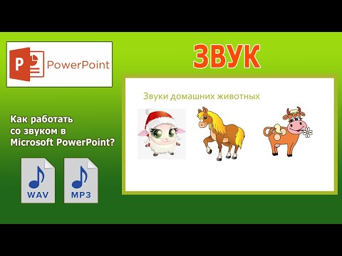 Видео: Уроки PowerPoint. Как вставить звук в презентацию PowerPoint?