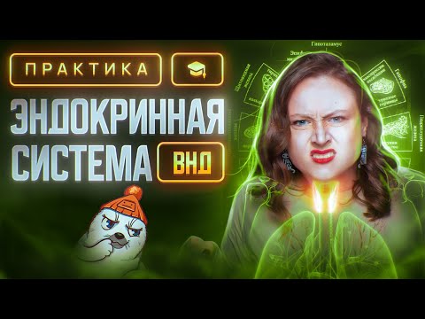 Видео: Эндокринная система. Высшая нервная деятельность | ЕГЭ-2025 по биологии