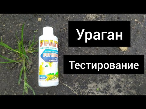 Видео: Средство от сорняков УРАГАН (гербицид). Тестирование.