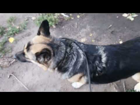 Видео: МИР В КОТОРОМ Я ЖИВУ! 