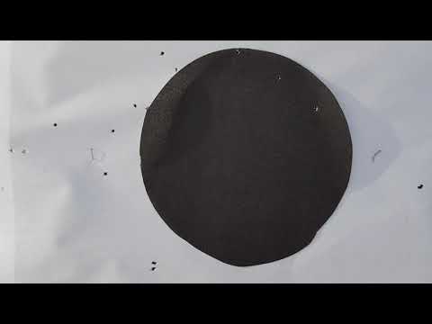 Видео: Кучность Джемени LF(0.76)