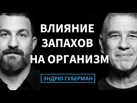 Видео: Доктор Ноам Собел: Как запахи влияют на наши гормоны, здоровье и поведение | на русском