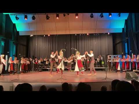 Видео: Ансамбл ВИЛА Нови Сад - Неготински мотиви (премијера 2022)