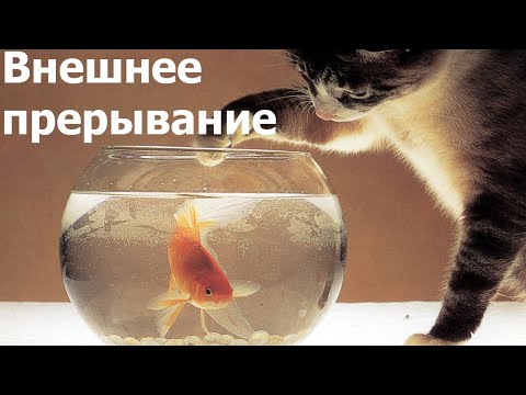 Видео: AVR 12# Внешние прерывания