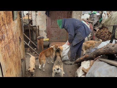 Видео: STAS ASKET "ИЗ МЕШКА"