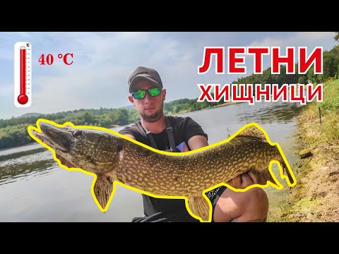 Видео: ЛЕТНИ ХИЩНИЦИ. РИБОЛОВ НА ЩУКА И СОМ