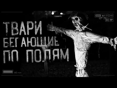 Видео: Страшные истории на ночь - Тв*ри бегающие по полям! Страшилки на ночь! Ужасы,мистика!