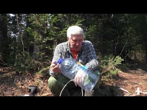 Видео: Как правильно собирать Берёзовый сок