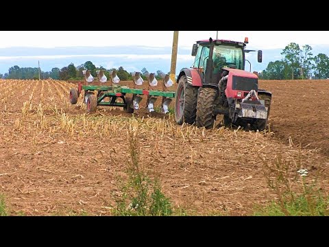 Видео: МТЗ 3022 Беларус с плугом оборотный ппо-8-40