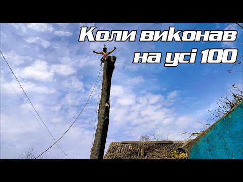 Видео: SpeedLine липи