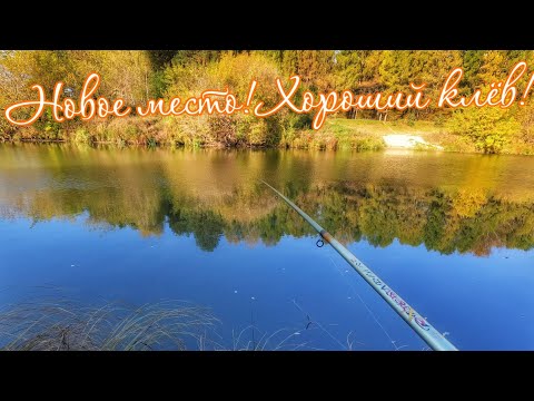 Видео: Рыбалка на поплавок в конце Сентября с кормушкой!