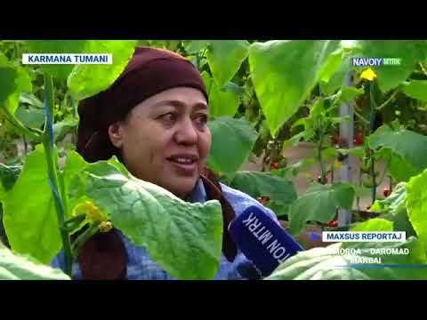 Видео: «Имконият» | Томорқа - даромад манбаи