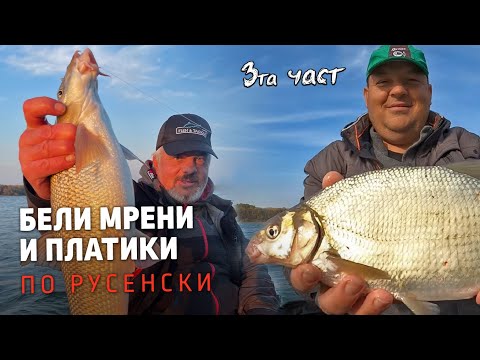 Видео: БЕЛИ  МРЕНИ и ПЛАТИКИ по русенски.../ Тънкости за речен фидер за едри риби! - 3 част