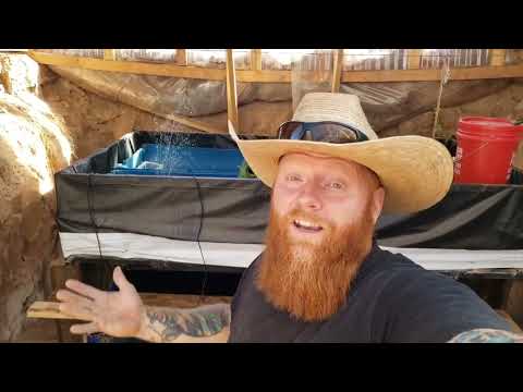 Видео: Автономная аквапоническая система и сад