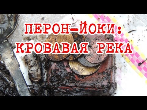 Видео: Нашли погибших солдат перед амбразурой ДОТа!/Раскопки на Карельском перешейке