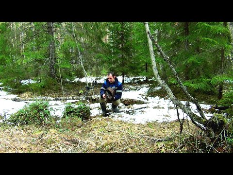 Видео: Как я раньше его не замечал! НАШЕЛ СТАРИННЫЙ СТАН ЛЕСОРУБОВ!!!