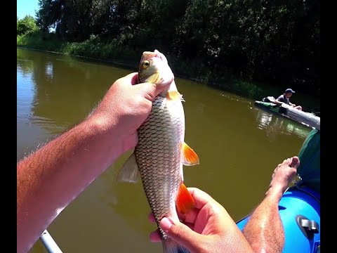 Видео: Сплав и рыбалка по р. Псел с. Хоришки - с. Манжелия.