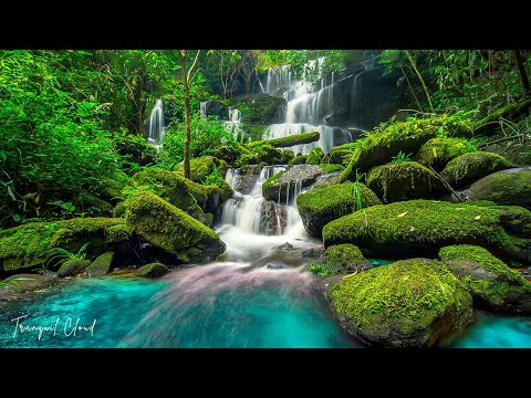 Видео: послушайте эту музыку и вам станет легче🌿Нежная музыка,успокаивает нервную систему и радует душу #5