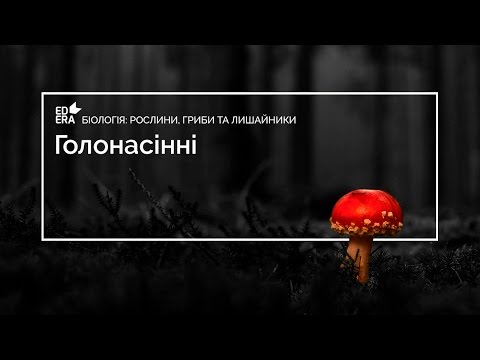 Видео: Голонасiннi (Відділ Голонасінних). Відео 1 5 1 1