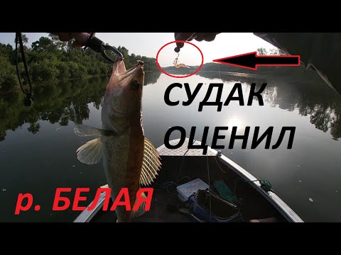 Видео: РЫБАЛКА на реке Белой район КУШНАРЕНКОВО-СУДАК оценил эту ПРИМАНКУ