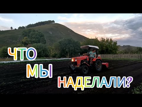 Видео: Поехали в Республику Алтай Отвезли заказ с саженцами и встретили..