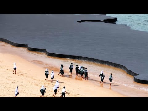 Видео: Они Срубили Все Деревья Возле Озера, 4 Года Спустя Никто Не Мог Поверить в Это