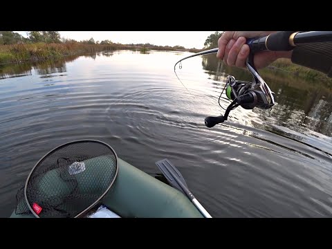Видео: Щуки звереют на КОЛБАСУ и загибают спиннинг! ОСЕННЯЯ РЫБАЛКА НА ЩУКУ.