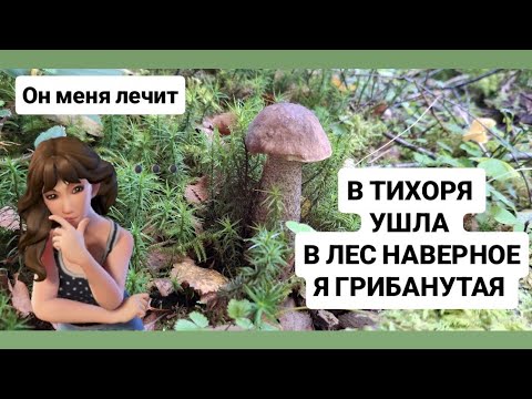 Видео: 😍 Я В ТИХОРЯ УШЛА В ЛЕС И ОН МЕНЯ ЛЕЧИТ🥰 ЛЕС МЕНЯ ВДОХНОВЛЯЕТ #обзор #wald #deutschland #тихаяохота 