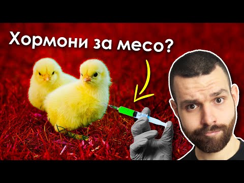 Видео: В кои меса има най-много ХОРМОНИ (и какво НЕ ЗНАЕМ за тях)?