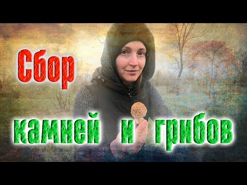 Видео: Ищу поделочные камни и минералы. Нашла подземный портал, змею, грибы сморчки и фазана.