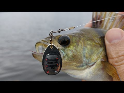 Видео: Ловлю окуня на блёсны. Показываю на что ловлю и сколько поймал