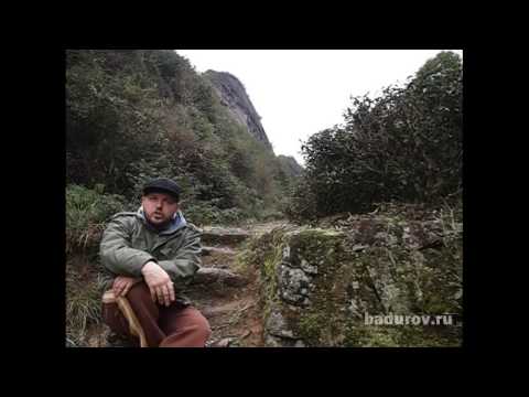 Видео: Гон под чаёк про чаёк и вообще... 2 Сезон. 6 серия. Путь чая