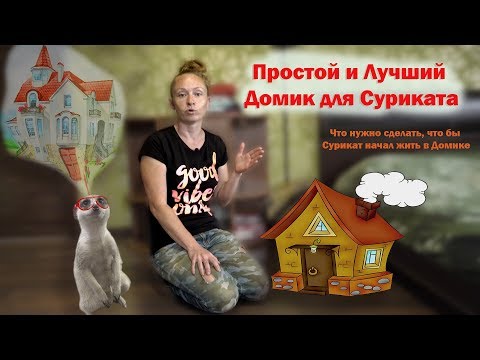 Видео: Домик для Суриката.