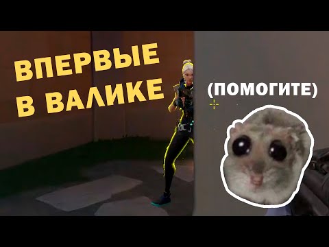 Видео: На что я жмал || Нарезка новичка в Валоранте