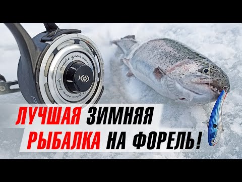 Видео: Раздача форели зимой!