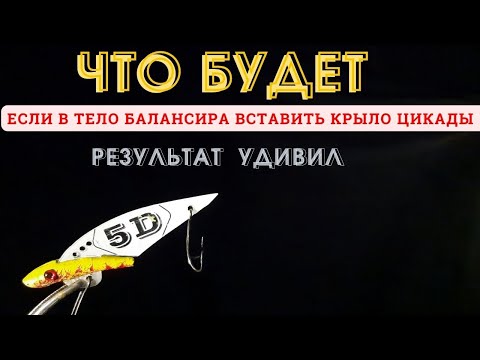 Видео: Что будет, если поставить на тело балансира крыло от цикады?